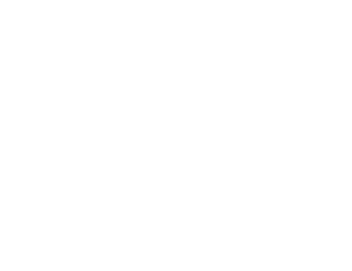 DKBus